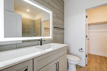 a bathroom with a sink and a mirror and a toilet